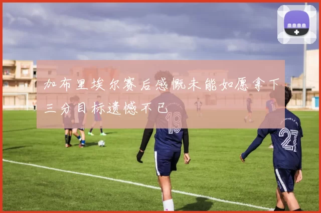 加布里埃尔赛后感慨未能如愿拿下三分目标遗憾不已